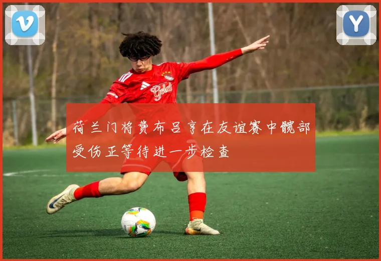 荷兰门将费布吕亨在友谊赛中髋部受伤正等待进一步检查